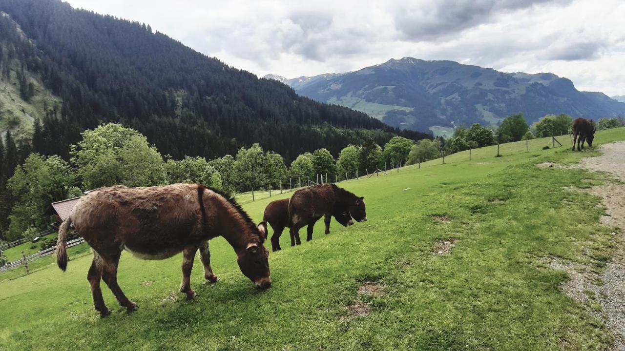 Privatzimmervermietung Foidlbauer Oberndorf in Tirol Eksteriør billede